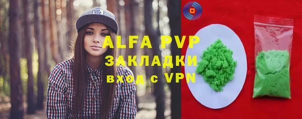 спиды Горняк