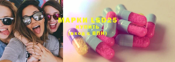 спиды Горняк