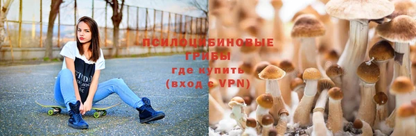 ПСИЛОЦИБИНОВЫЕ ГРИБЫ Тихвин