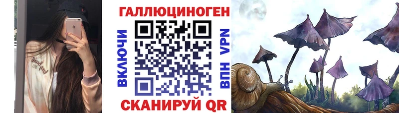 Псилоцибиновые грибы Cubensis Дальнереченск