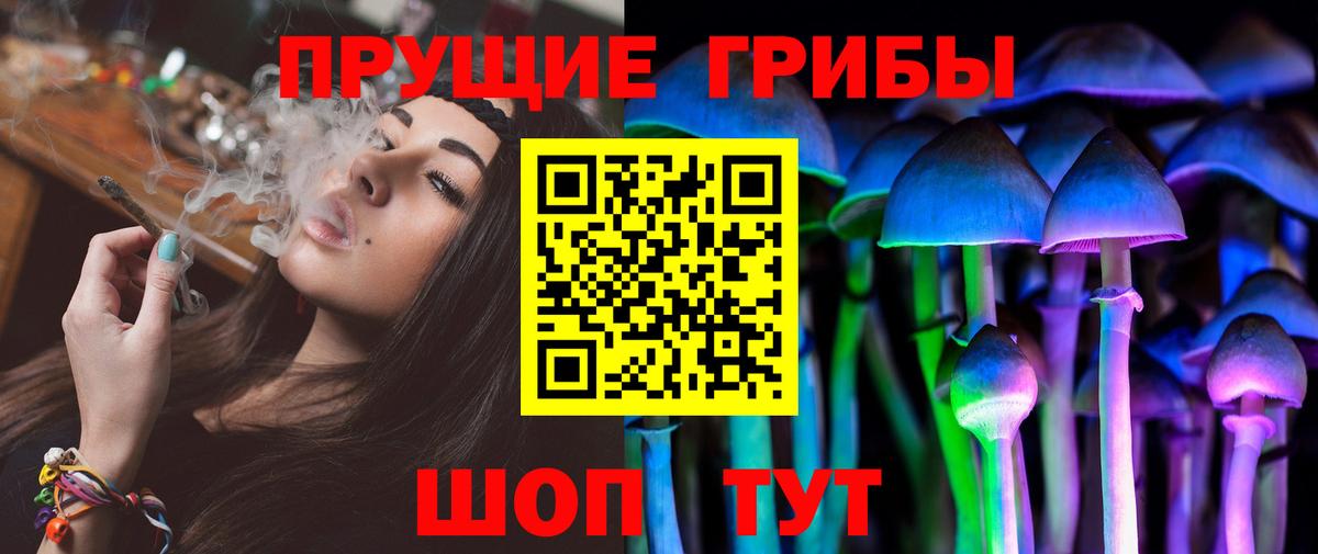 Галлюциногенные грибы прущие грибы Дальнереченск