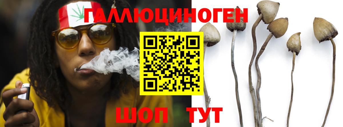 Галлюциногенные грибы Cubensis  цены наркотик  Дальнереченск  Вход с VPN 