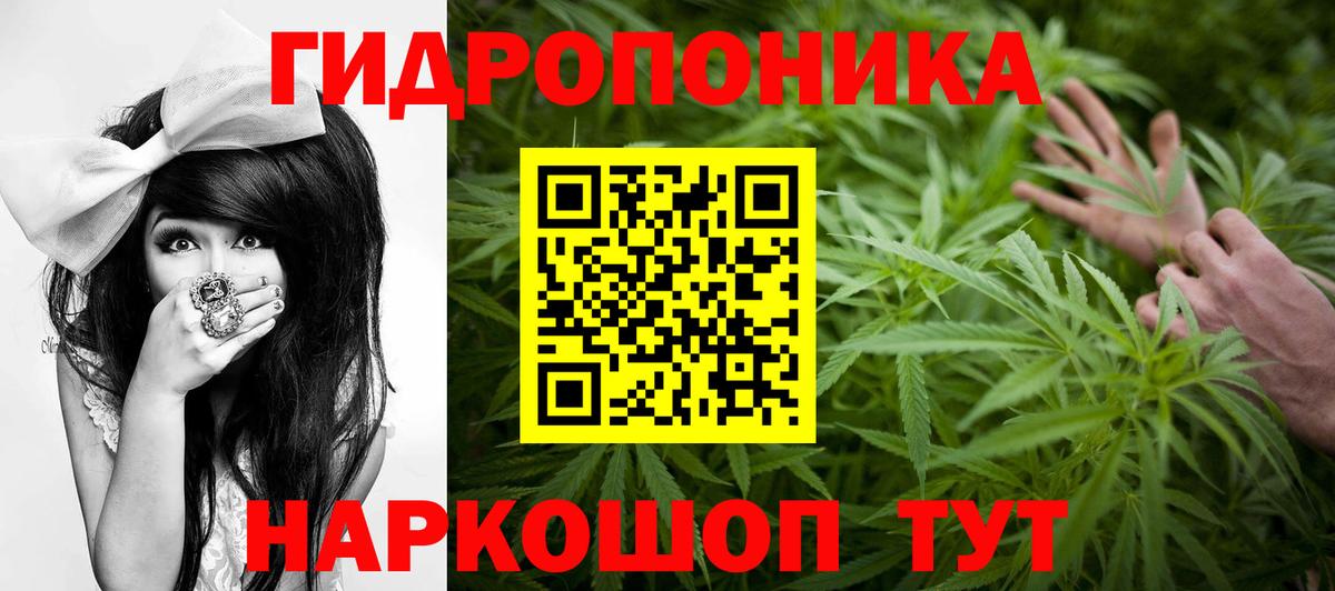 Дальнереченск  Марихуана White Widow  Канабис индика  Вход с VPN  МАРИХУАНА OG Kush 